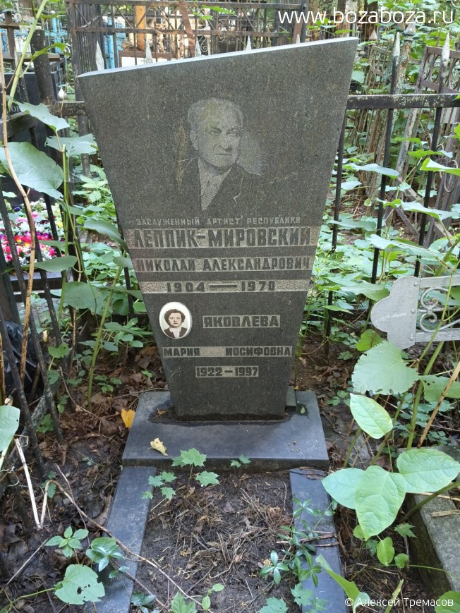 ������-��������� ������� �������������