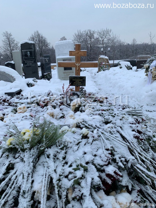 ������������ ����� ���������