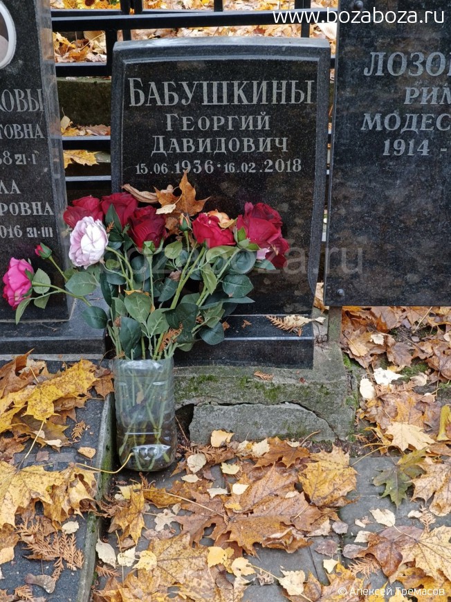 �������� ������� ���������