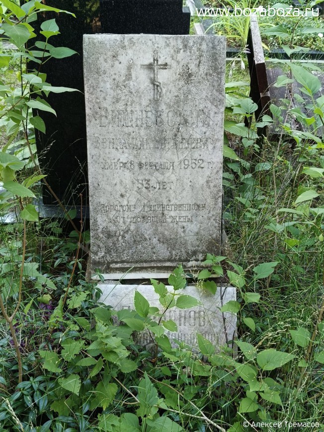 ���������� �������� ����������