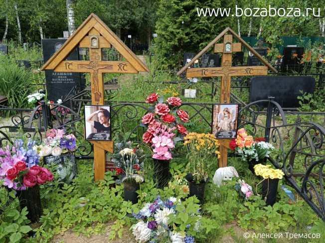 ������� ���� ����������