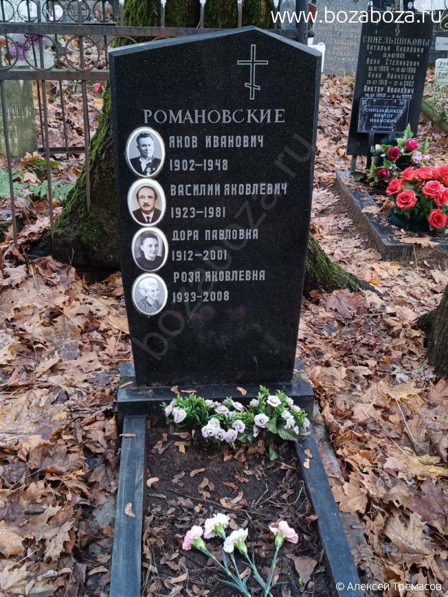 ����������� ���� ���������