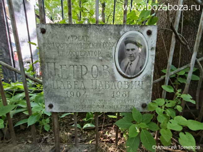 ������ ����� ��������