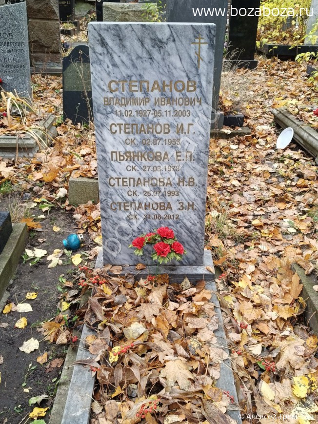 �������� ���� �����������