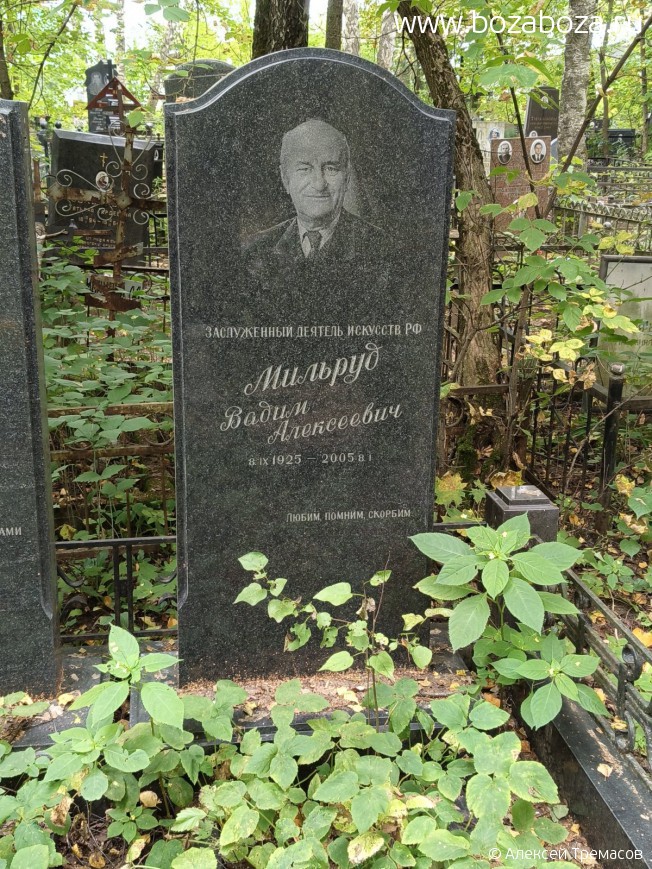 ������� ����� ����������