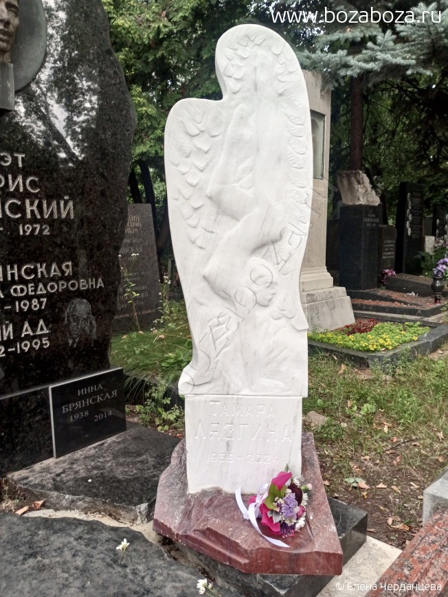 ������� ������ ���������