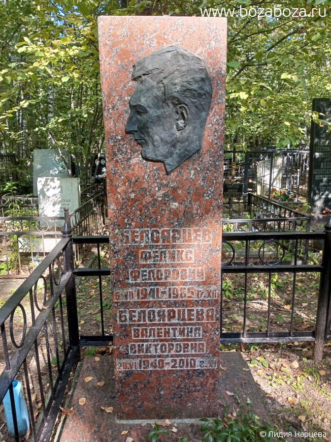   Ը