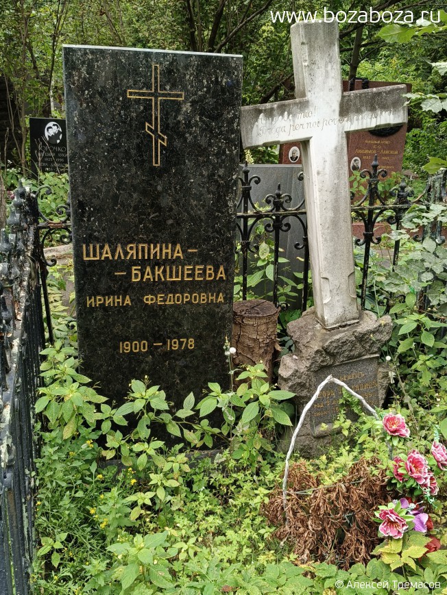 -  Ը