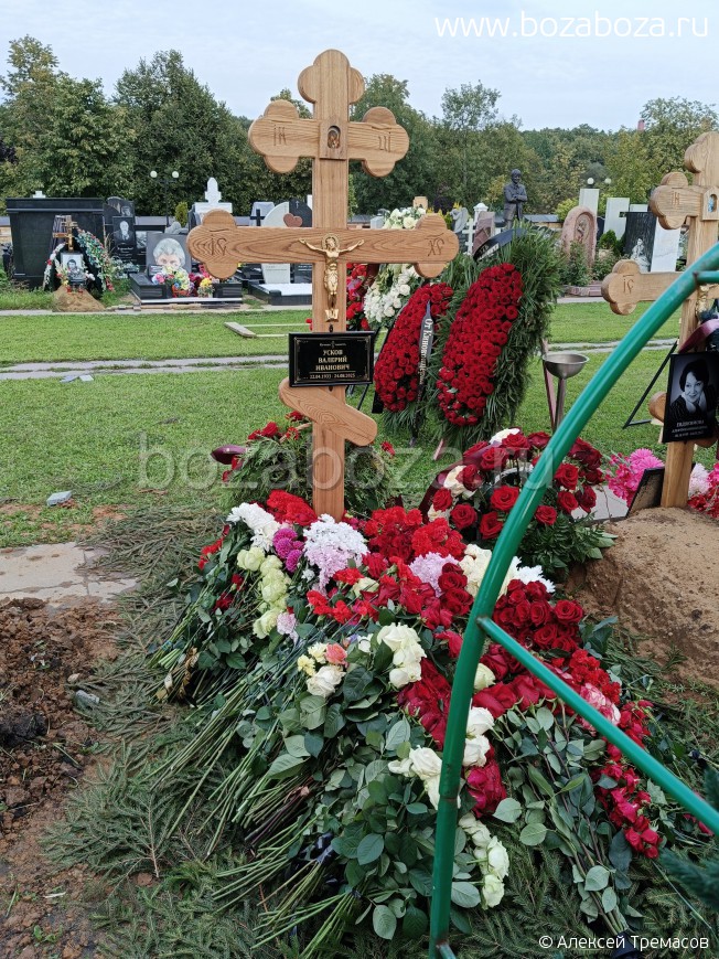 ����� ������� ��������