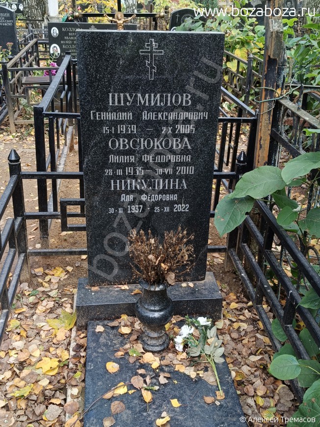   Ը