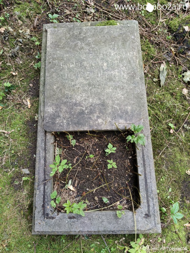 �������� ����� ��������