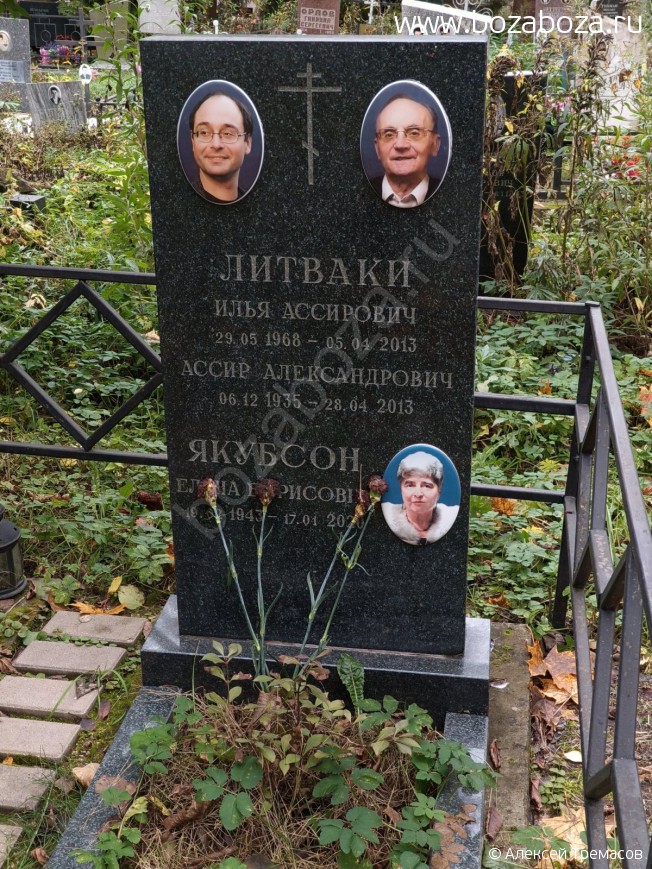 ������ ���� ���������