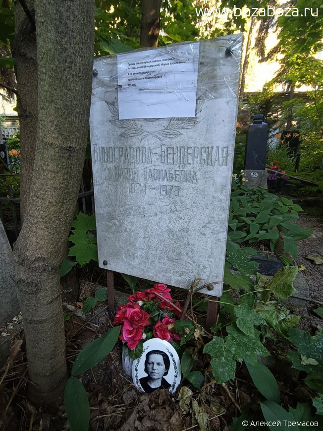 ���������� (�����������) ����� ����������