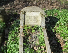  Ը 