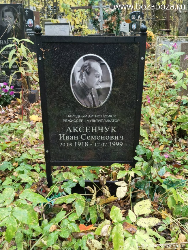 �������� ���� ��������