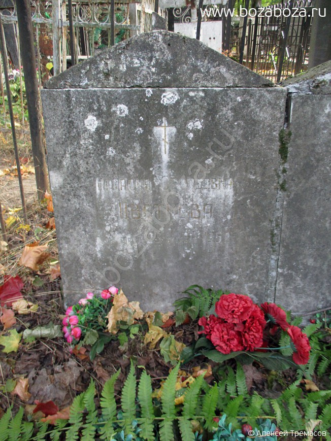 �������� ������� ���������