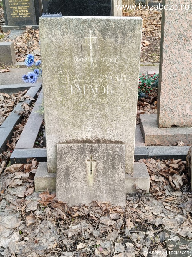 ������ ������� Ը�������