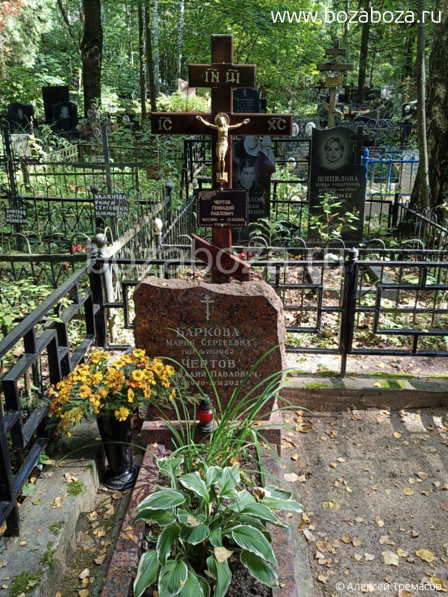 ������ �������� ��������