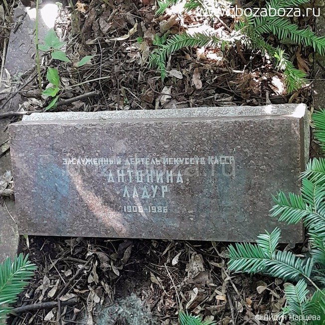 ����� �������� �����������