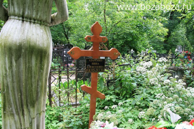 �������� ���� ����������