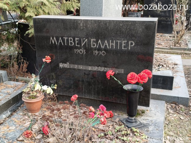 ������� ������ ���������