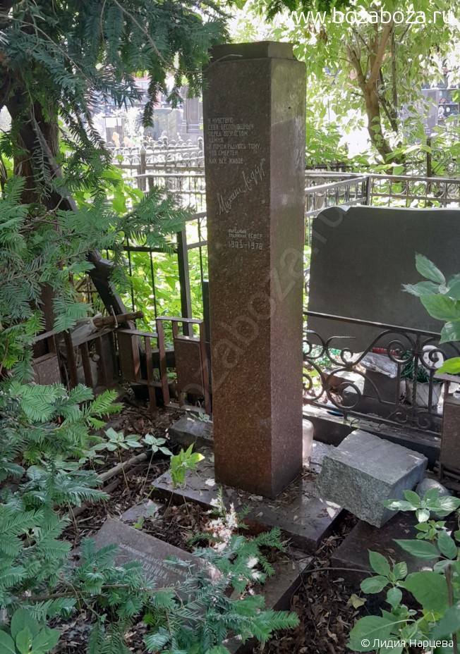 ����� �������� �����������