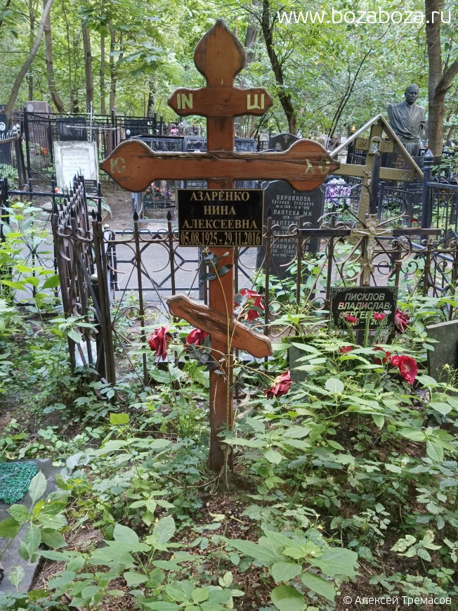 �������� ���� ����������