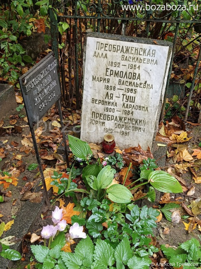 �������������� ���� ����������