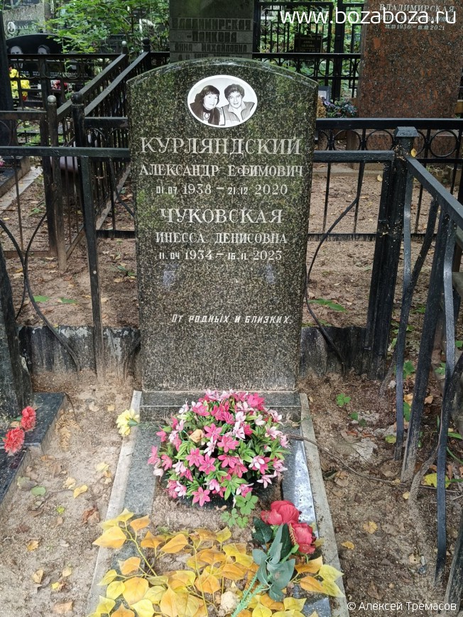 ����������� ��������� ��������