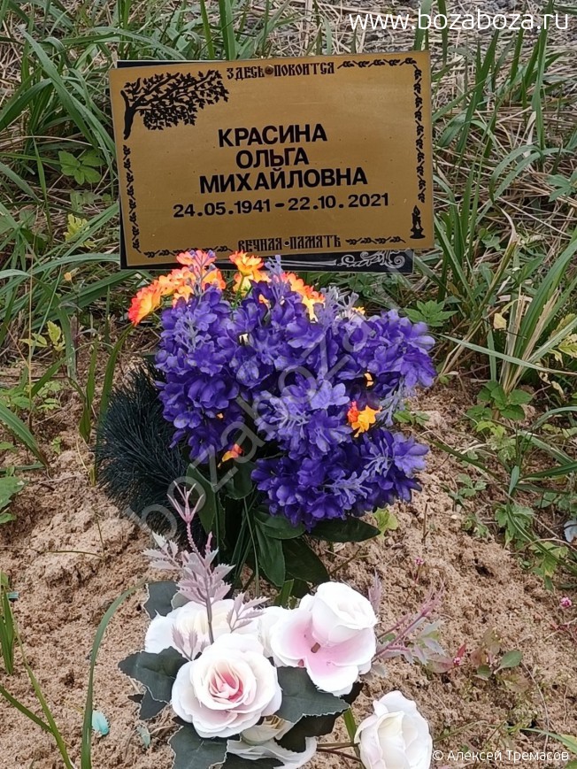 ������� ����� ����������