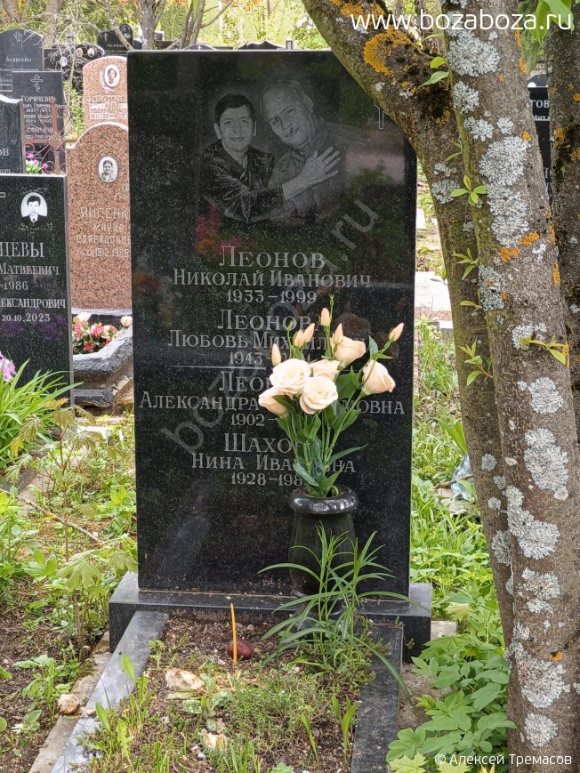 ������ ������� ��������