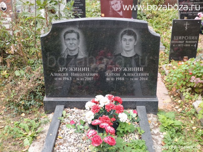 Дружинин Алексей Николаевич