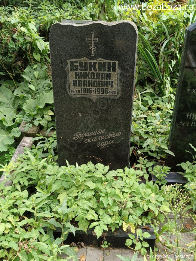 ����� ������� ��������