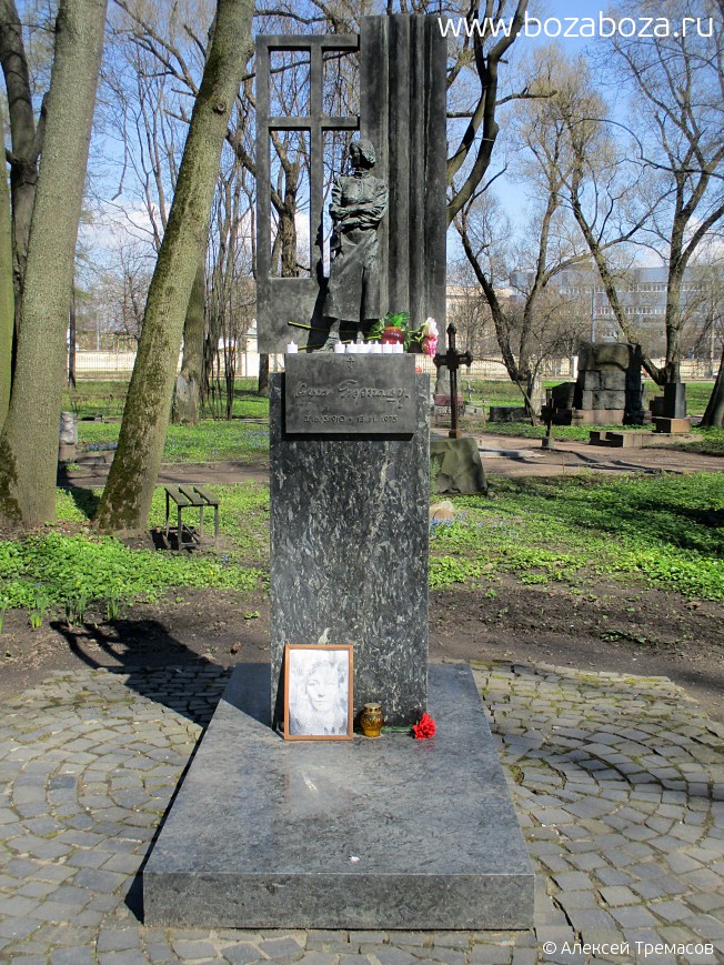   Ը