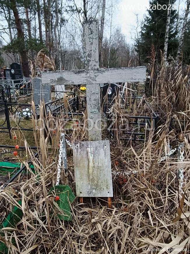 ������ Ը��� �������������