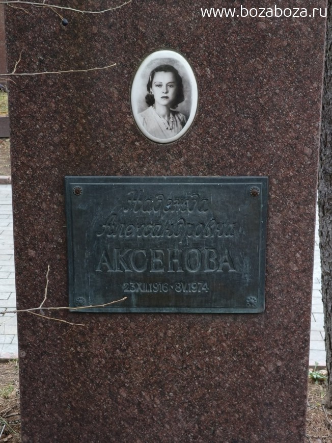 ���� (�������) ������� �������������