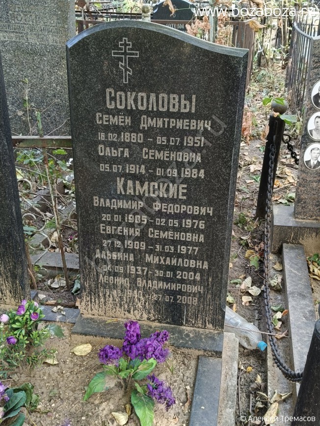 ������� �������� Ը�������