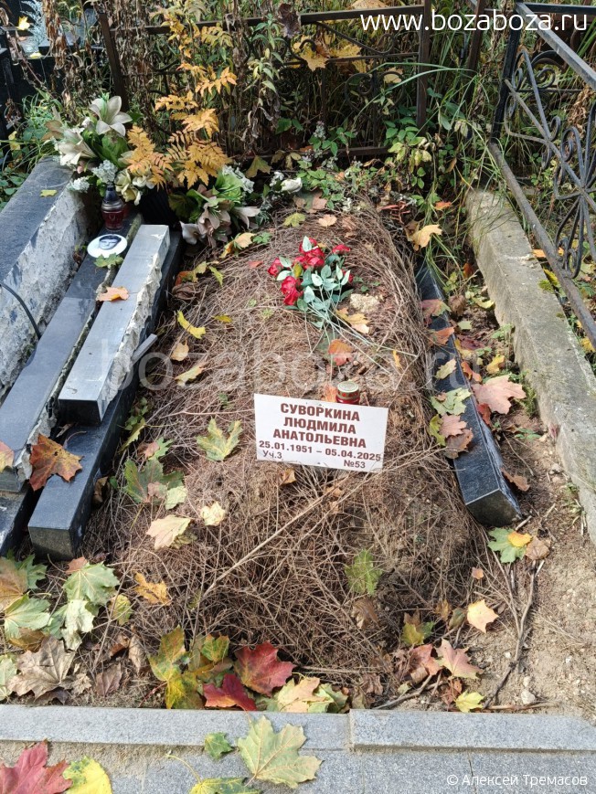 ��������� ������� �����������