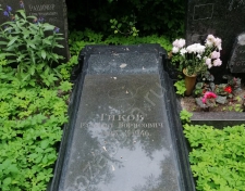 Гиков Рафаил Борисович Гиков Рафаил Борисович