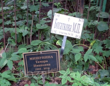 ��������� ������ ��������