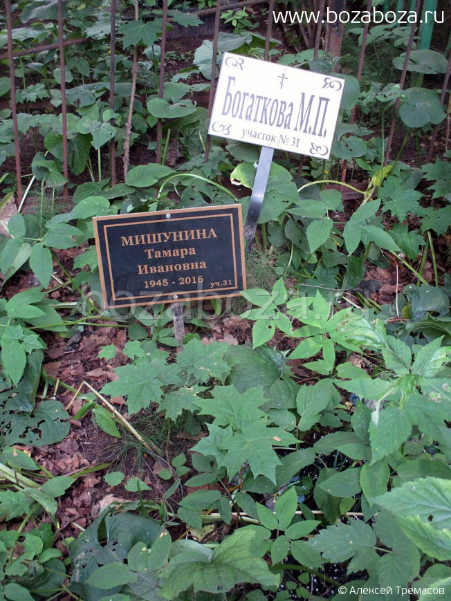 ��������� ������ ��������