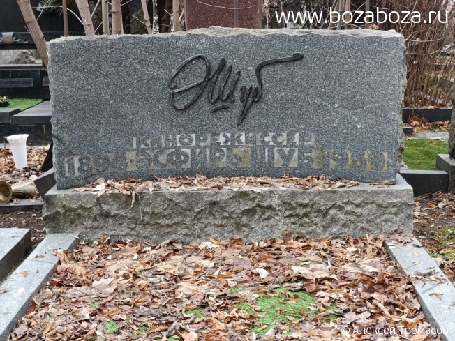 ��� (������) ������ ���������