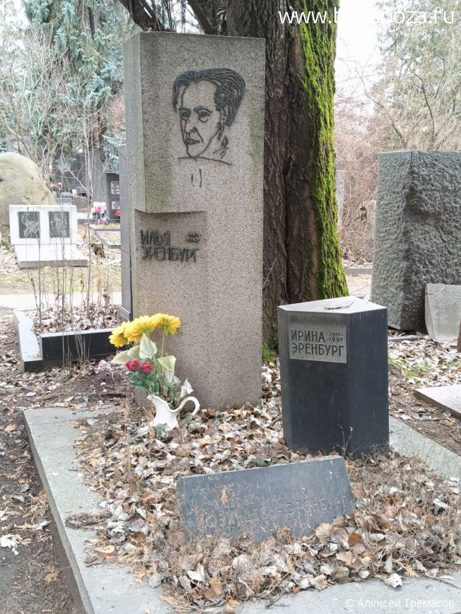 �������� ���� �����������