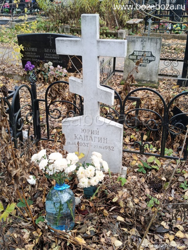 ������� ���� ����������