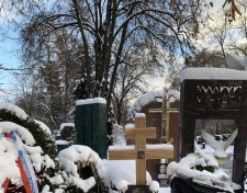 �������� ���� ������������