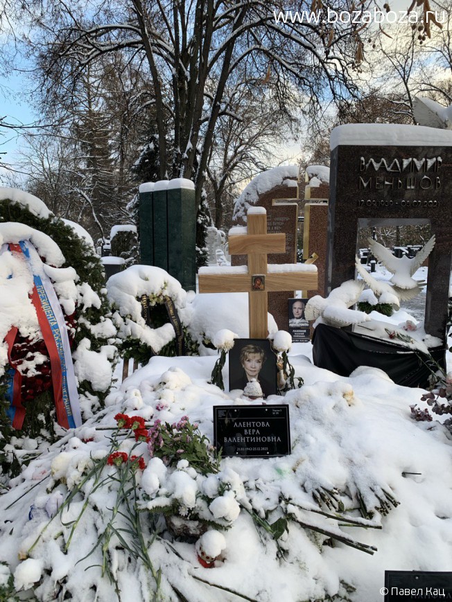 �������� ���� ������������