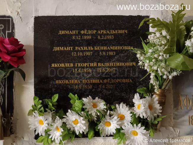 ������ Ը��� ����������