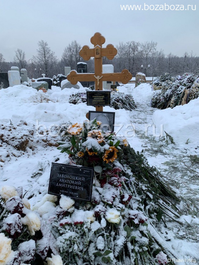 ���������� �������� ����������