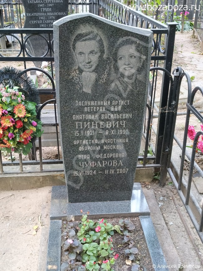  Ը
