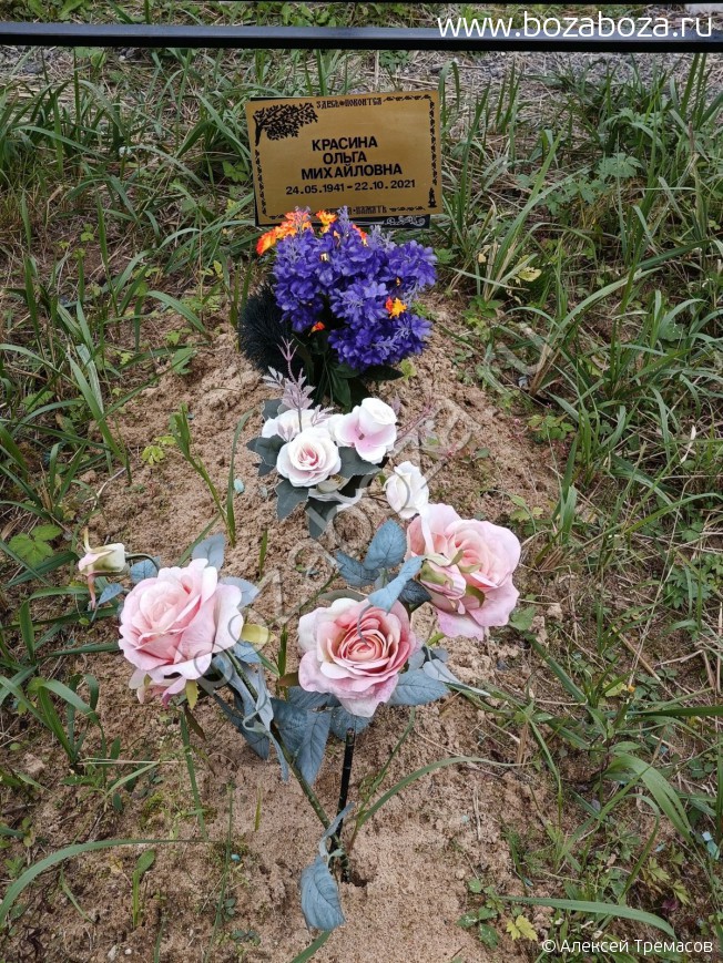 ������� ����� ����������